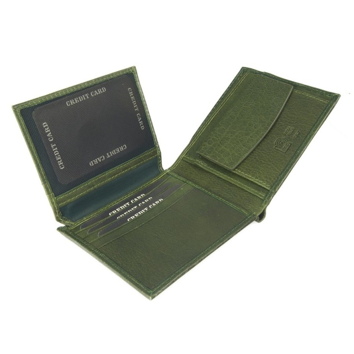 Portafoglio in pelle 8996-BT verde